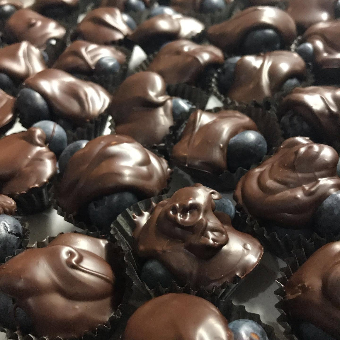 Fresh Blueberry Cups